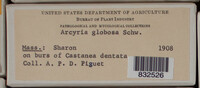 Image Associated With the Occurence